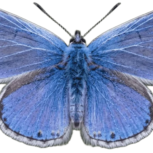 Nadège Naturopathe à Montval